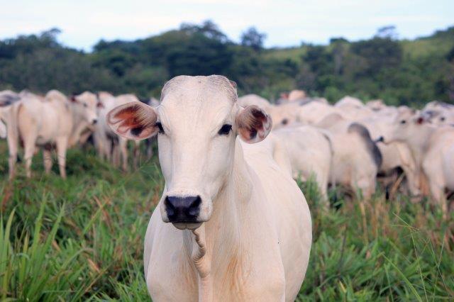 Productores, comercializadores y consumidores destacan el Productores, comercializadores y consumidores destacan el